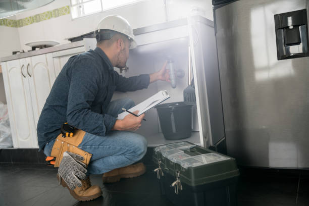 Best Local Plumber Services  in Carrier Mls, IL