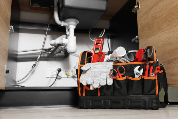 Best Emergency Plumber  in Carrier Mls, IL
