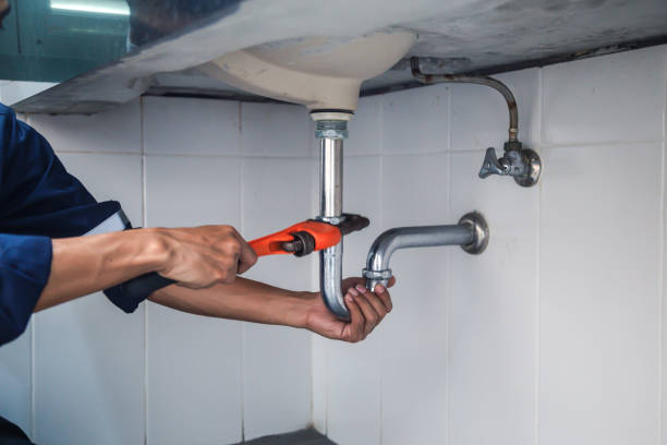 Best Local Plumber Services  in Carrier Mls, IL