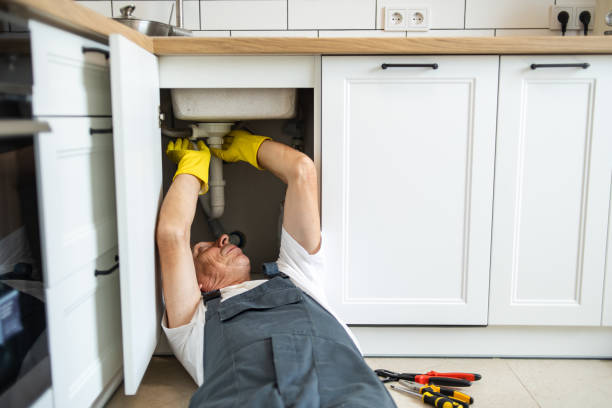 Best Water Leak Repair  in Carrier Mls, IL