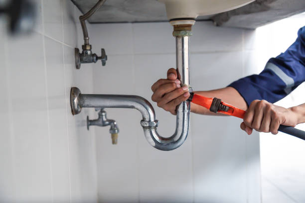 Best Plumbing Inspection Services  in Carrier Mls, IL