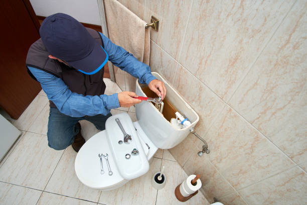 Best Septic Systems  in Carrier Mls, IL