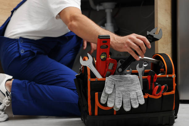 Best Affordable Plumber Near Me  in Carrier Mls, IL