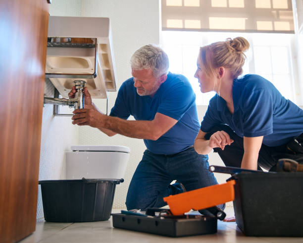 Best Shower Repair Services  in Carrier Mls, IL
