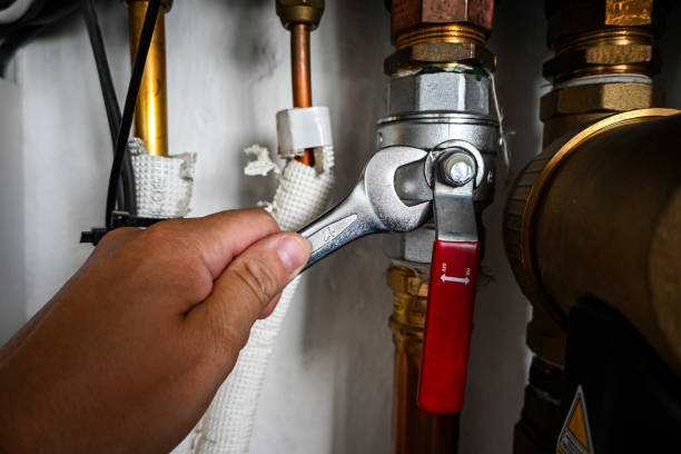 Best Residential Plumbing Services  in Carrier Mls, IL
